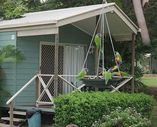 Aussie Outback Oasis 4* Charters Towers